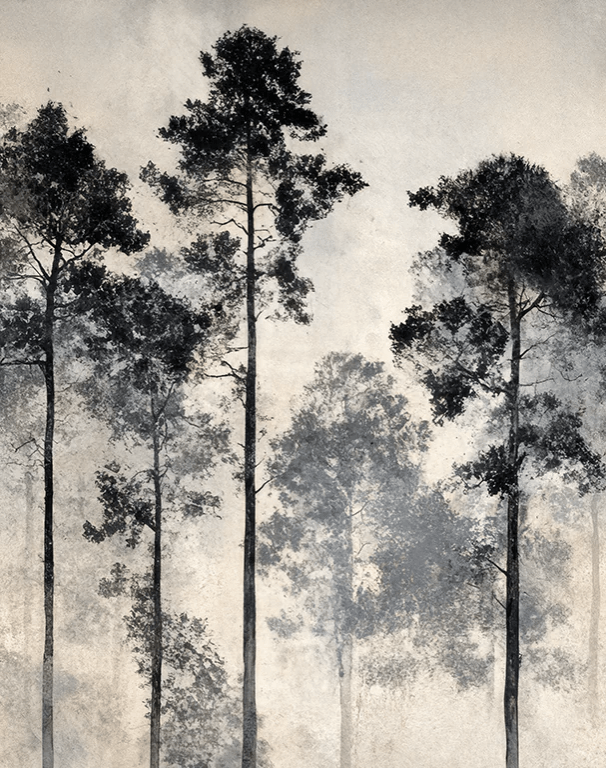 Voyage au cœur des pins – Papier peint panoramique forêt brumeuse - Illulart: Papier peint panoramique