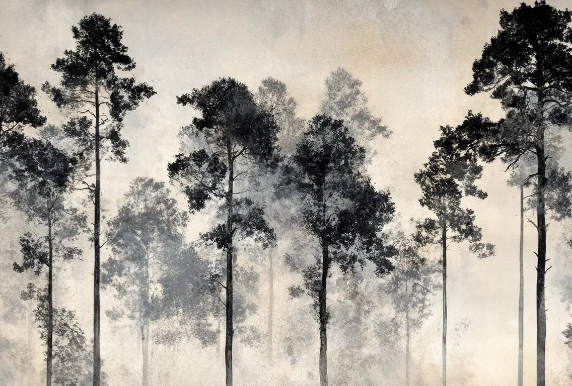 Voyage au cœur des pins – Papier peint panoramique forêt brumeuse - Illulart: Papier peint panoramique
