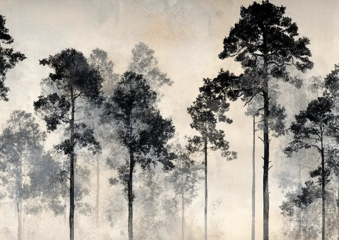 Voyage au cœur des pins – Papier peint panoramique forêt brumeuse - Illulart: Papier peint panoramique
