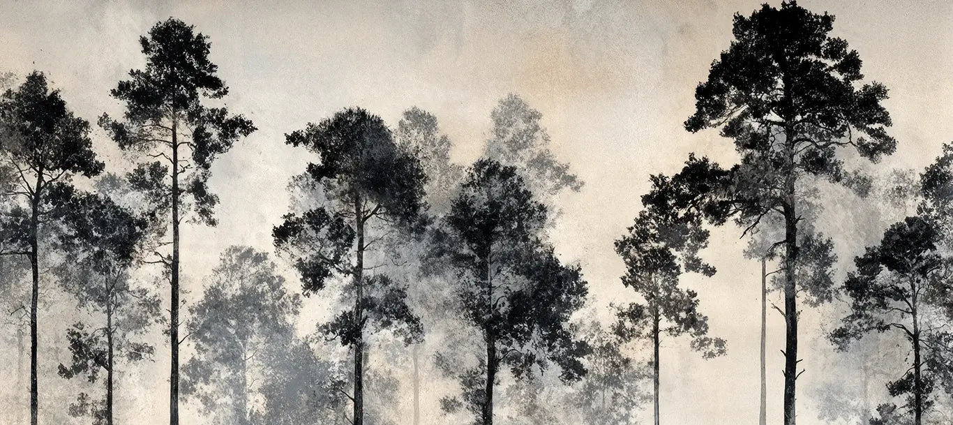 Voyage au cœur des pins – Papier peint panoramique forêt brumeuse - Illulart: Papier peint panoramique