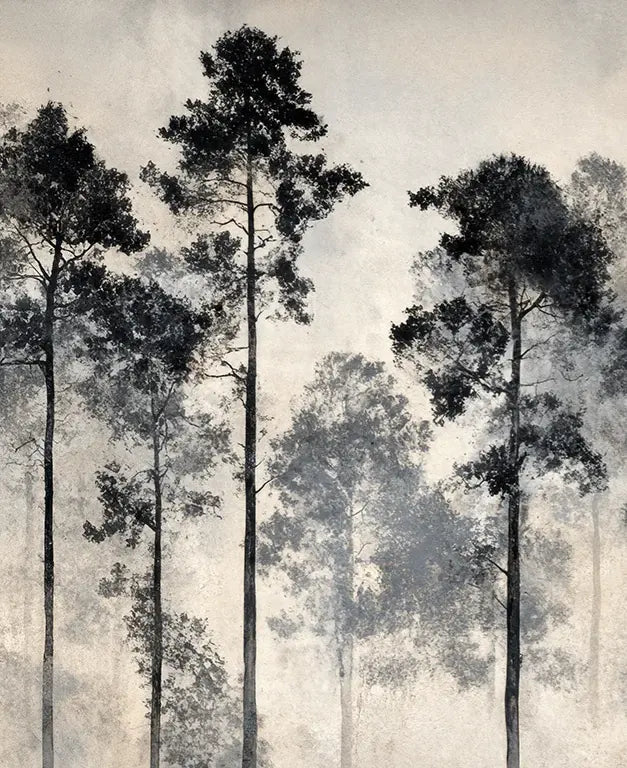 Voyage au cœur des pins – Papier peint panoramique forêt brumeuse