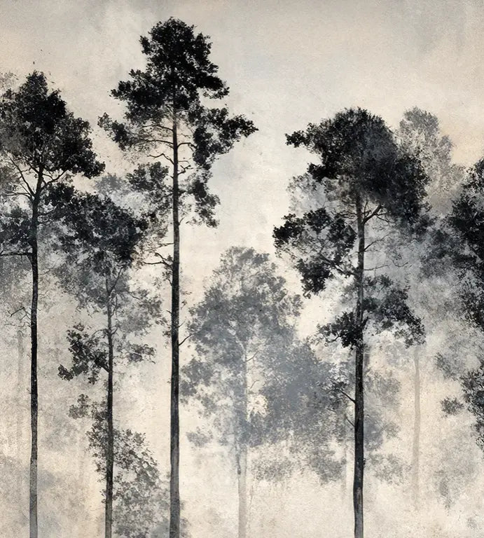 Voyage au cœur des pins – Papier peint panoramique forêt brumeuse - Illulart: Papier peint panoramique