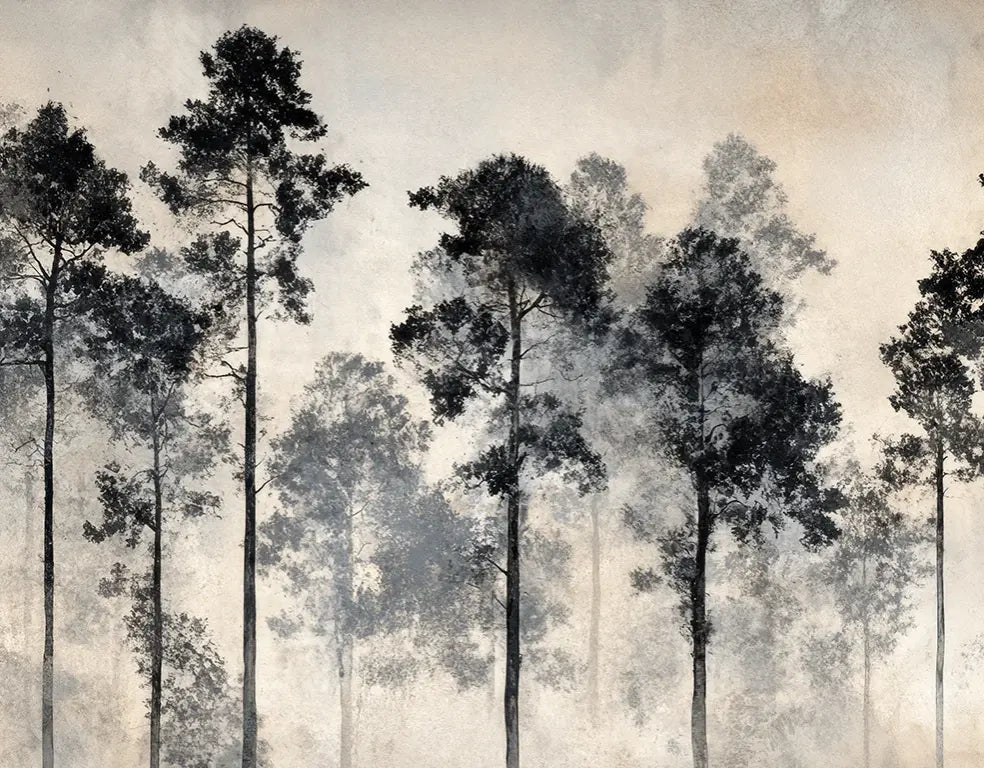 Voyage au cœur des pins – Papier peint panoramique forêt brumeuse