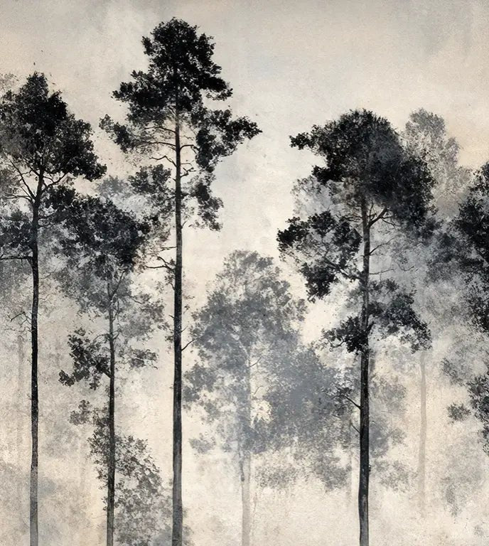 Voyage au cœur des pins – Papier peint panoramique forêt brumeuse - Illulart: Papier peint panoramique