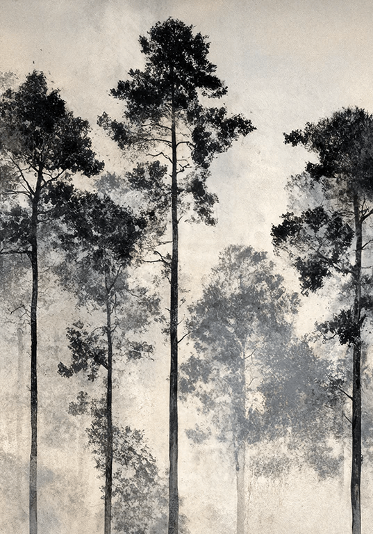 Voyage au cœur des pins – Papier peint panoramique forêt brumeuse - Illulart: Papier peint panoramique