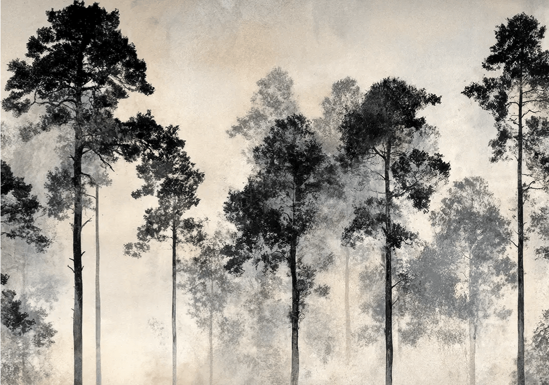 Voyage au cœur des pins – Papier peint panoramique forêt brumeuse - Illulart: Papier peint panoramique