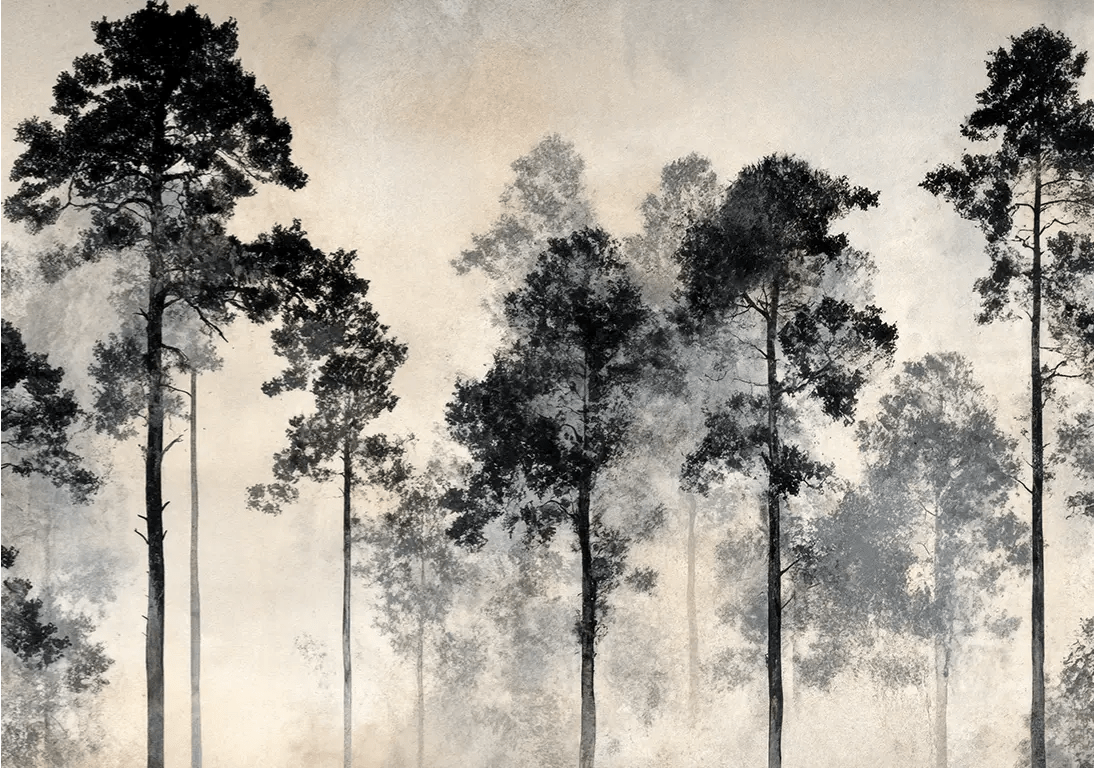 Voyage au cœur des pins – Papier peint panoramique forêt brumeuse - Illulart: Papier peint panoramique