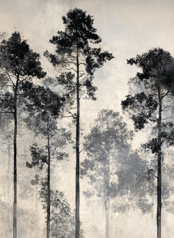 Voyage au cœur des pins – Papier peint panoramique forêt brumeuse - Illulart: Papier peint panoramique