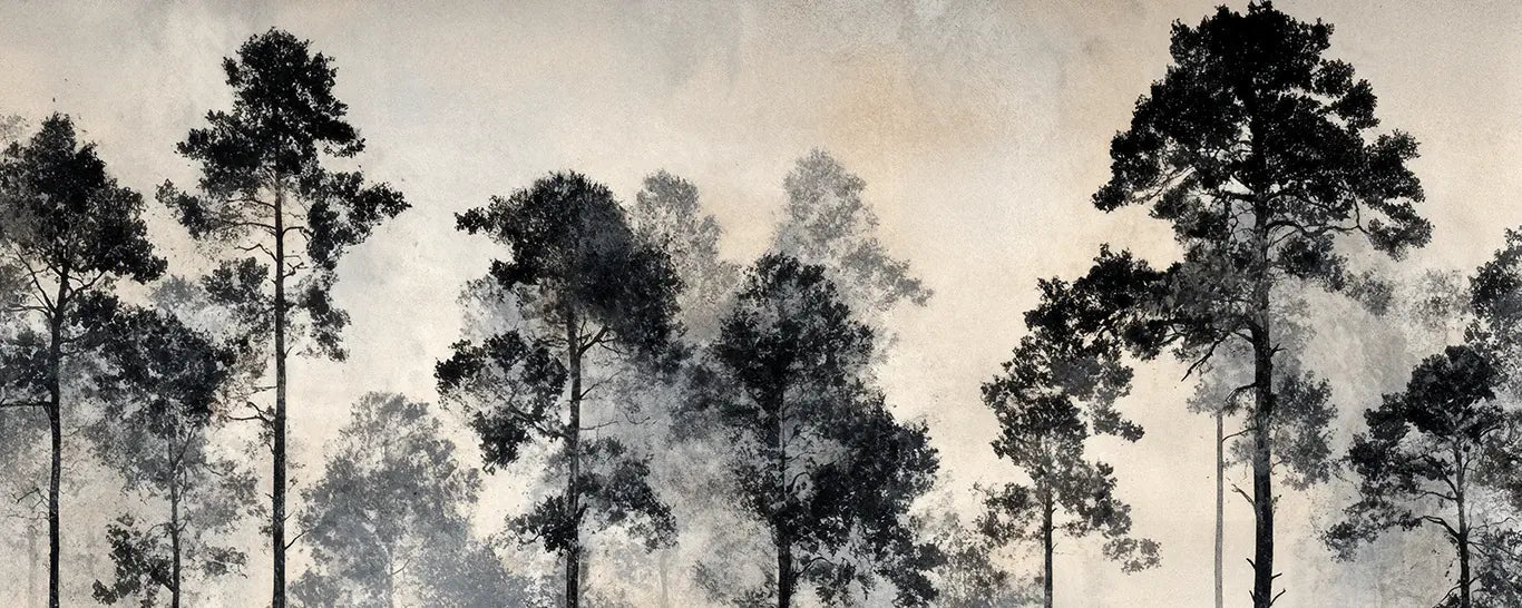 Voyage au cœur des pins – Papier peint panoramique forêt brumeuse - Illulart: Papier peint panoramique