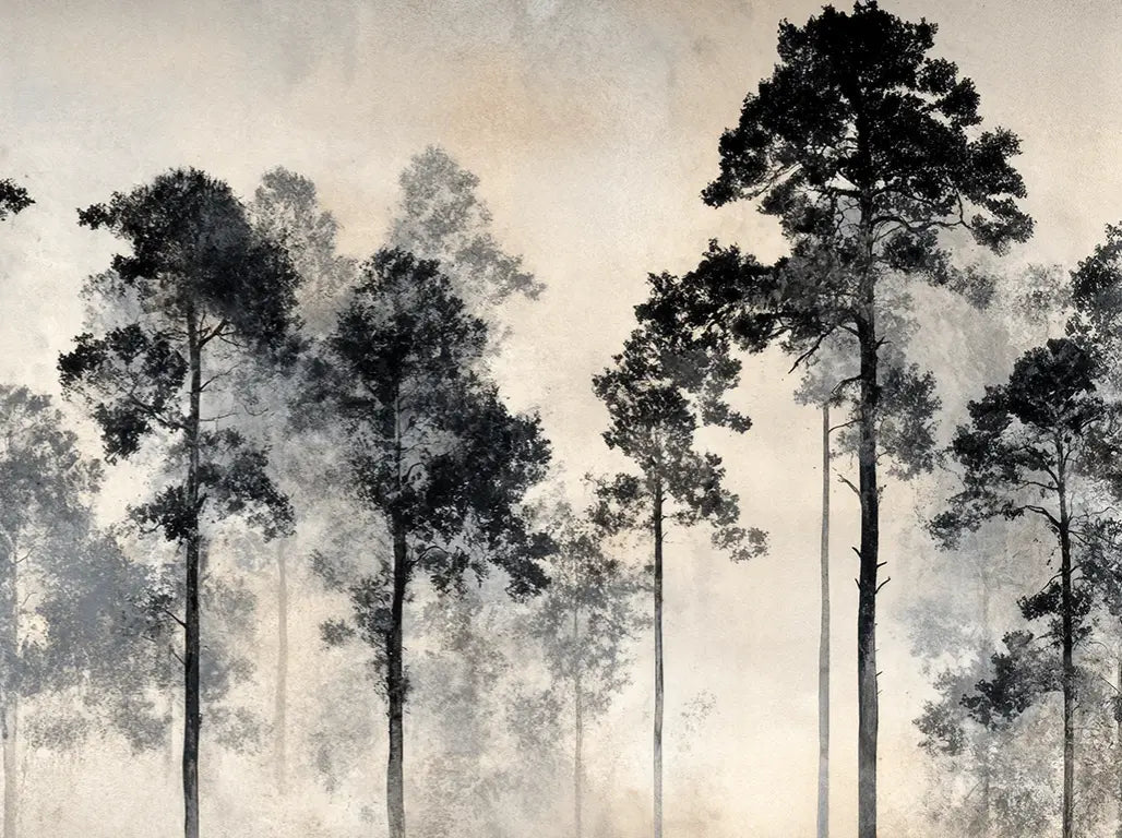 Voyage au cœur des pins – Papier peint panoramique forêt brumeuse