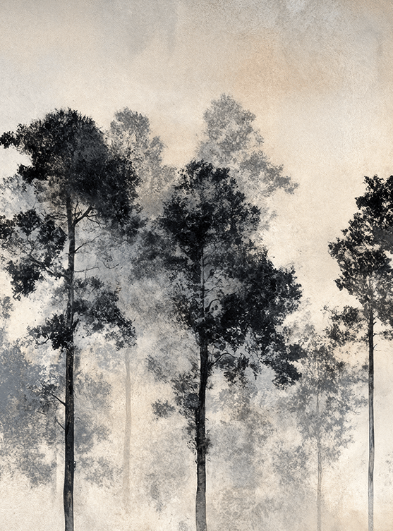 Voyage au cœur des pins – Papier peint panoramique forêt brumeuse - Illulart: Papier peint panoramique
