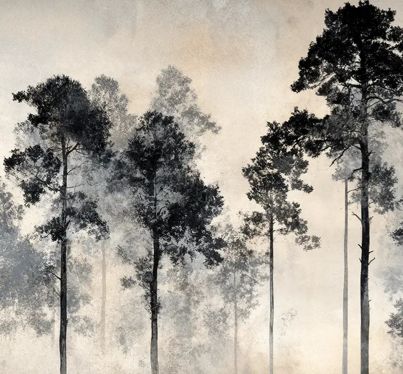 Voyage au cœur des pins – Papier peint panoramique forêt brumeuse