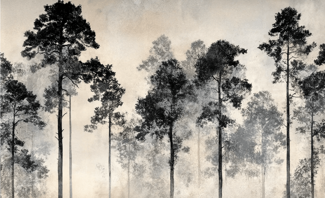 Voyage au cœur des pins – Papier peint panoramique forêt brumeuse - Illulart: Papier peint panoramique