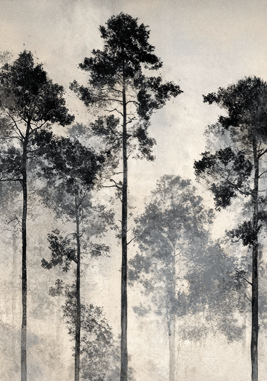 Voyage au cœur des pins – Papier peint panoramique forêt brumeuse - Illulart: Papier peint panoramique