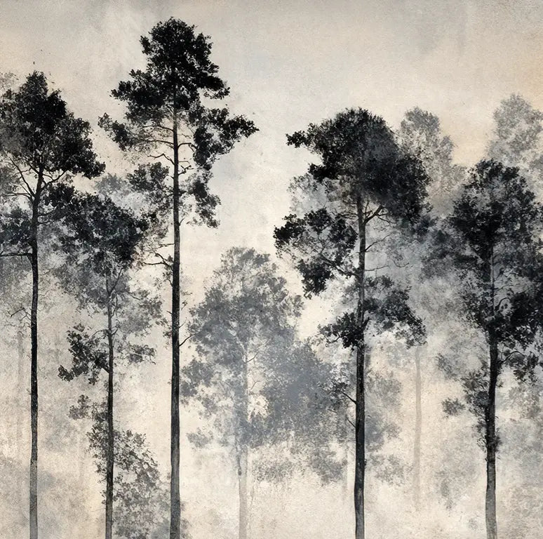 Voyage au cœur des pins – Papier peint panoramique forêt brumeuse - Illulart: Papier peint panoramique