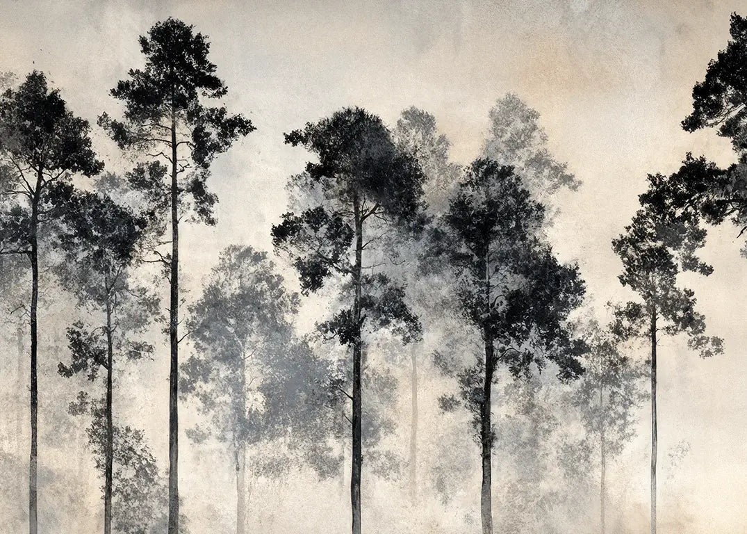 Voyage au cœur des pins – Papier peint panoramique forêt brumeuse - Illulart: Papier peint panoramique