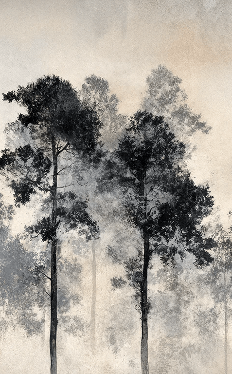 Voyage au cœur des pins – Papier peint panoramique forêt brumeuse - Illulart: Papier peint panoramique
