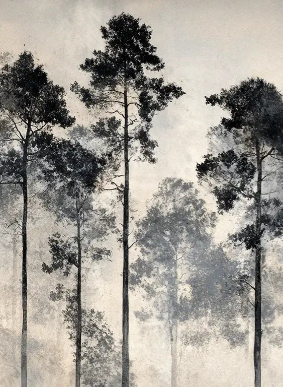 Voyage au cœur des pins – Papier peint panoramique forêt brumeuse - Illulart: Papier peint panoramique