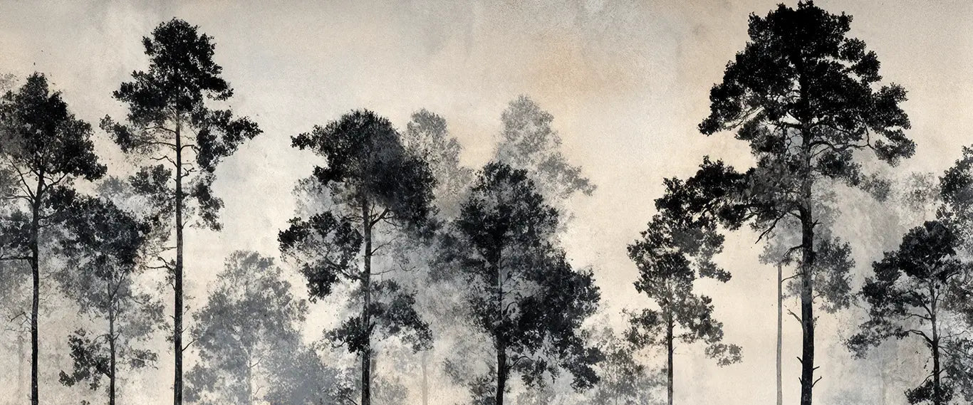 Voyage au cœur des pins – Papier peint panoramique forêt brumeuse - Illulart: Papier peint panoramique