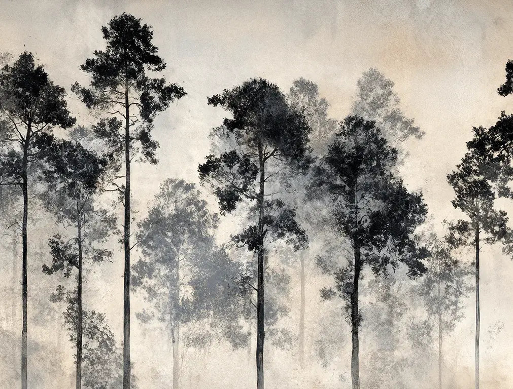 Voyage au cœur des pins – Papier peint panoramique forêt brumeuse