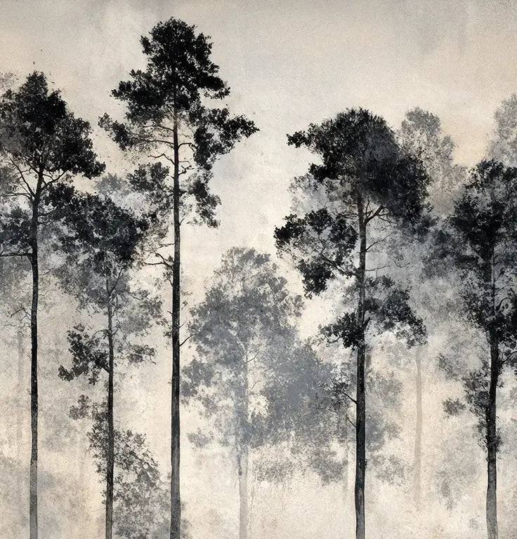 Voyage au cœur des pins – Papier peint panoramique forêt brumeuse - Illulart: Papier peint panoramique