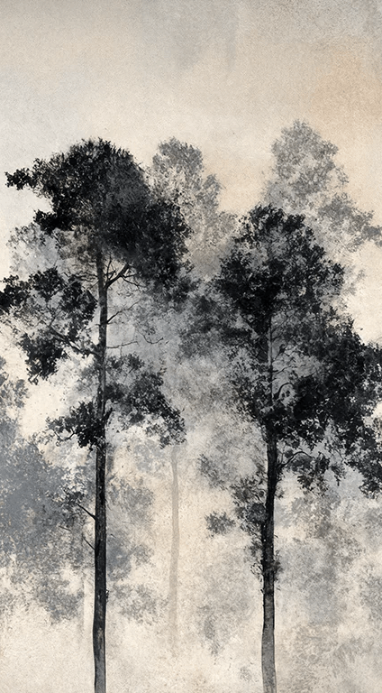 Voyage au cœur des pins – Papier peint panoramique forêt brumeuse - Illulart: Papier peint panoramique