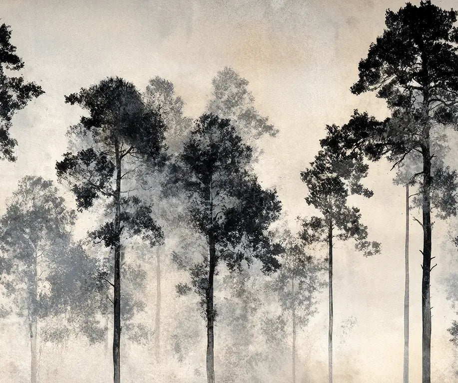 Voyage au cœur des pins – Papier peint panoramique forêt brumeuse