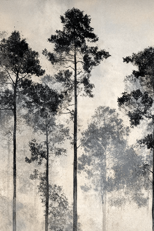 Voyage au cœur des pins – Papier peint panoramique forêt brumeuse - Illulart: Papier peint panoramique