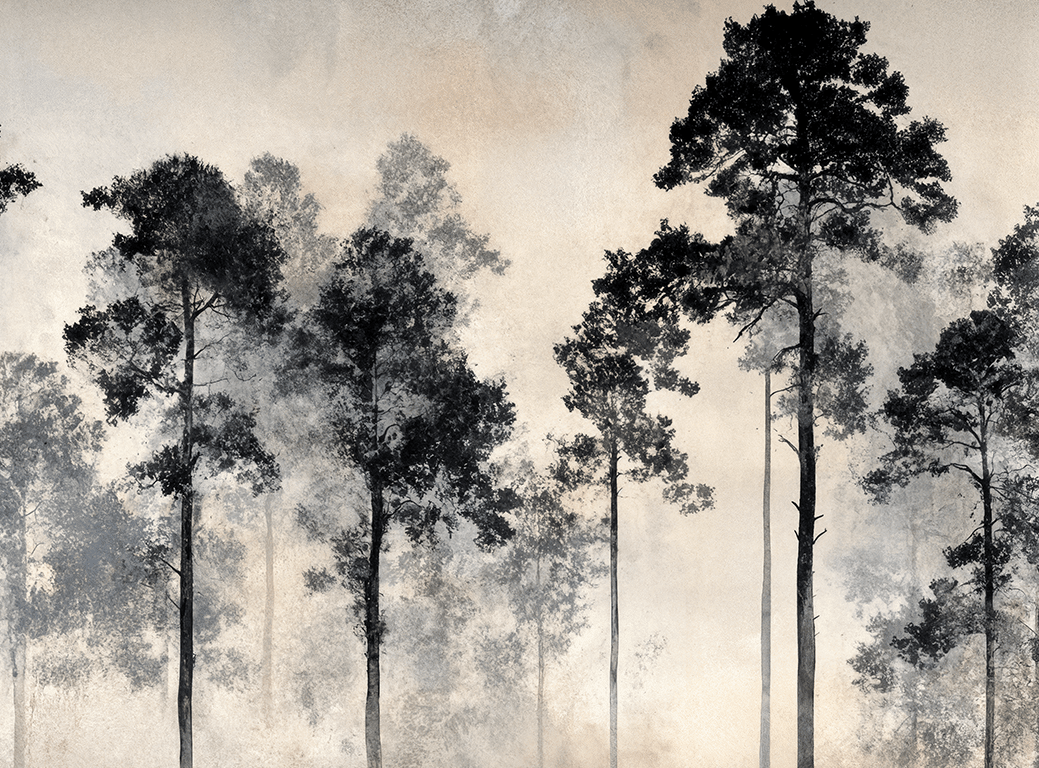 Voyage au cœur des pins – Papier peint panoramique forêt brumeuse - Illulart: Papier peint panoramique