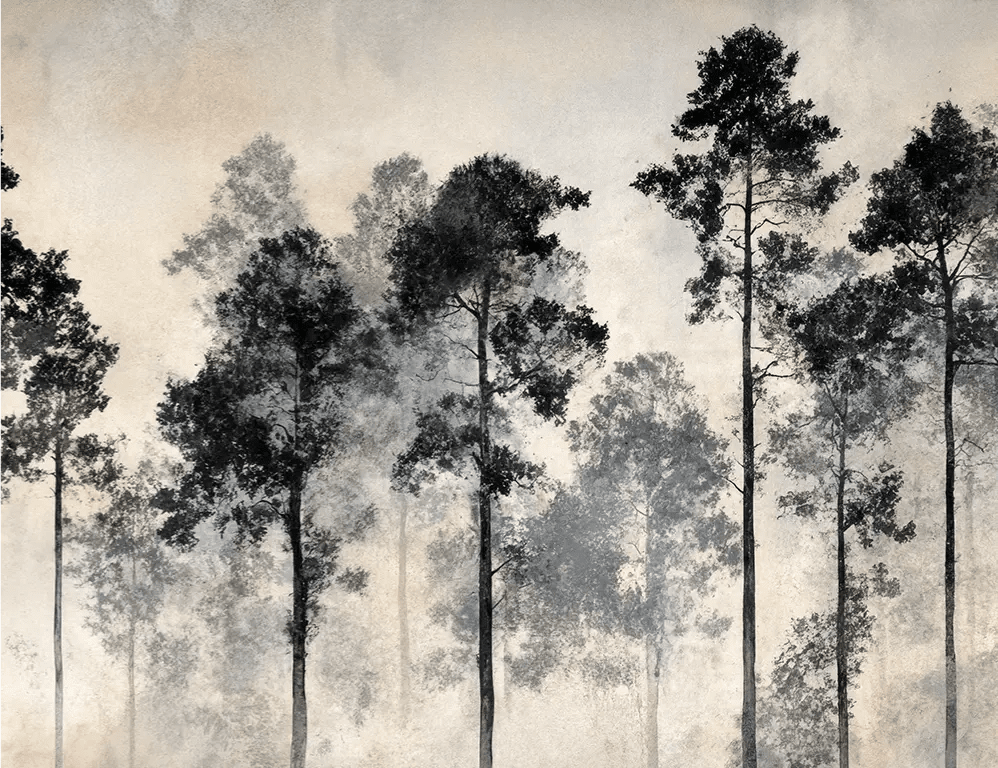 Voyage au cœur des pins – Papier peint panoramique forêt brumeuse