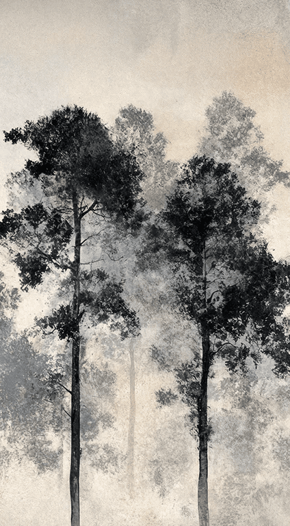 Voyage au cœur des pins – Papier peint panoramique forêt brumeuse - Illulart: Papier peint panoramique