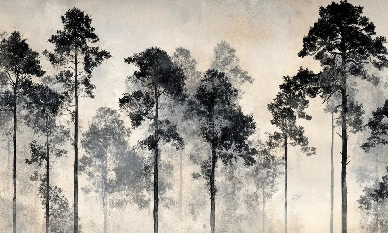 Voyage au cœur des pins – Papier peint panoramique forêt brumeuse