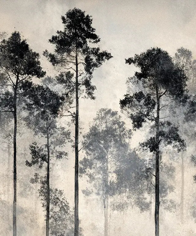 Voyage au cœur des pins – Papier peint panoramique forêt brumeuse - Illulart: Papier peint panoramique