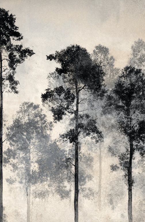 Voyage au cœur des pins – Papier peint panoramique forêt brumeuse - Illulart: Papier peint panoramique