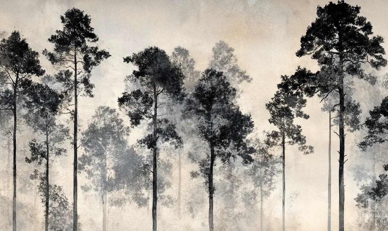 Voyage au cœur des pins – Papier peint panoramique forêt brumeuse