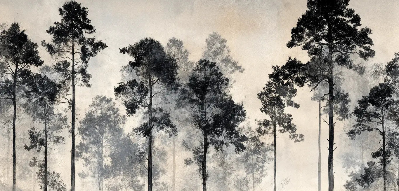 Voyage au cœur des pins – Papier peint panoramique forêt brumeuse