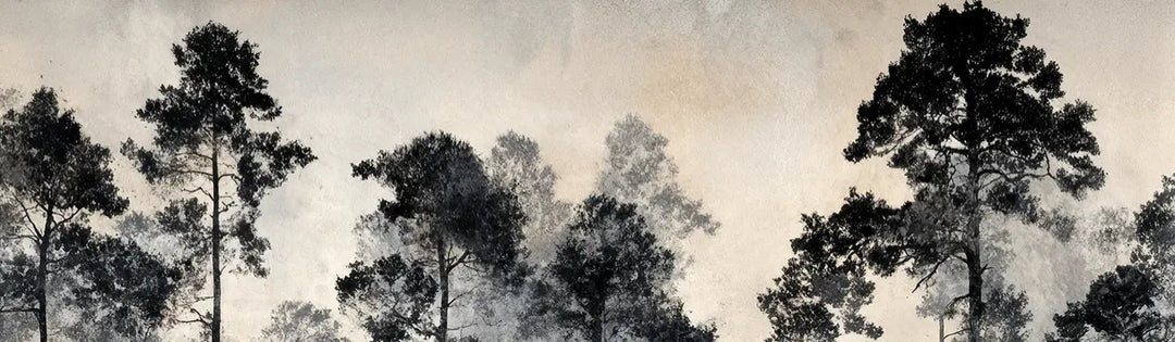 Voyage au cœur des pins – Papier peint panoramique forêt brumeuse - Illulart: Papier peint panoramique