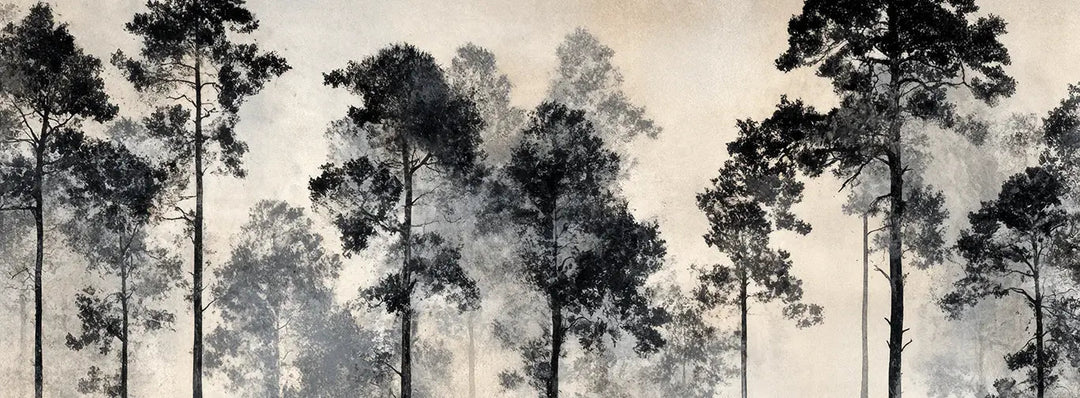 Voyage au cœur des pins – Papier peint panoramique forêt brumeuse - Illulart: Papier peint panoramique