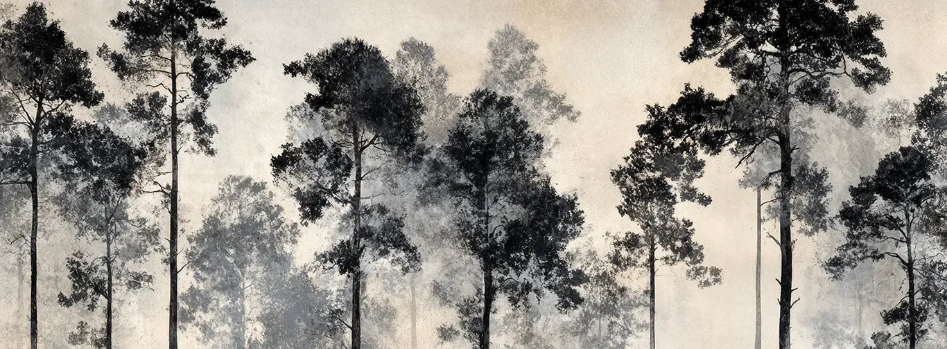 Voyage au cœur des pins – Papier peint panoramique forêt brumeuse - Illulart: Papier peint panoramique