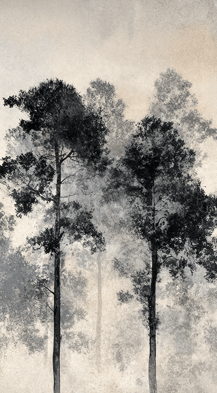 Voyage au cœur des pins – Papier peint panoramique forêt brumeuse