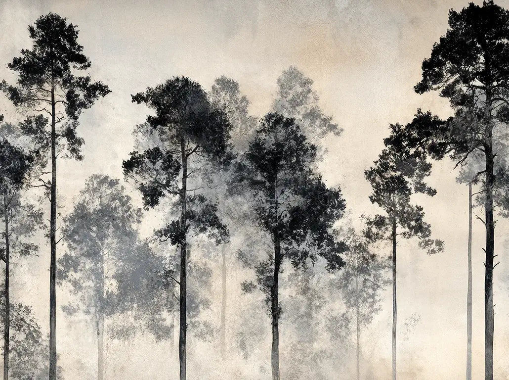 Voyage au cœur des pins – Papier peint panoramique forêt brumeuse - Illulart: Papier peint panoramique