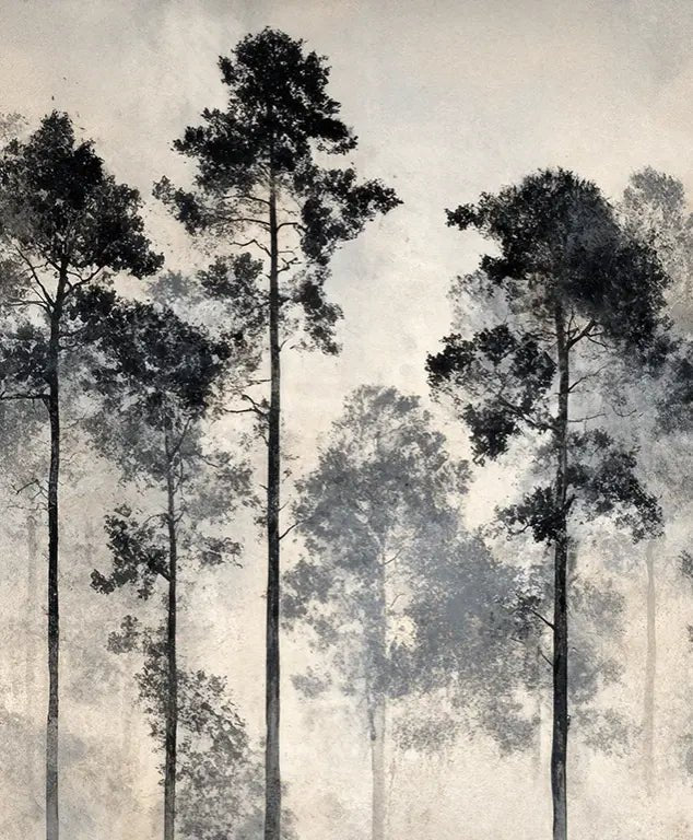 Voyage au cœur des pins – Papier peint panoramique forêt brumeuse - Illulart: Papier peint panoramique