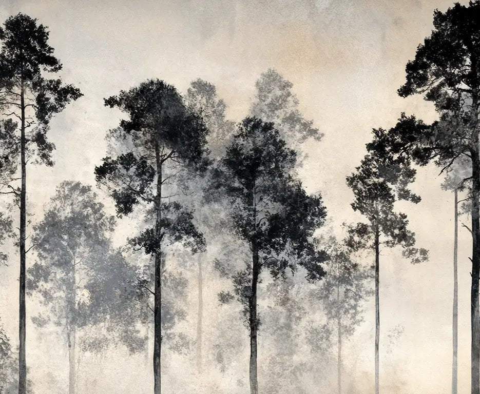 Voyage au cœur des pins – Papier peint panoramique forêt brumeuse