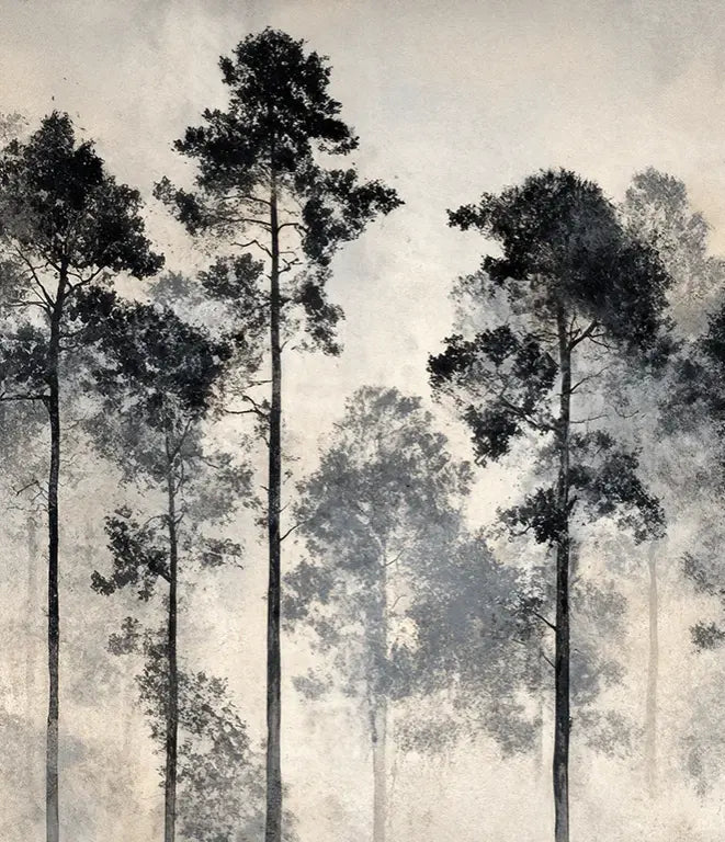 Voyage au cœur des pins – Papier peint panoramique forêt brumeuse - Illulart: Papier peint panoramique