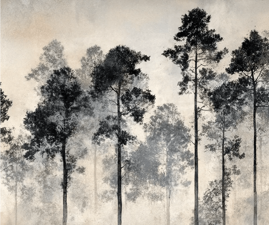 Voyage au cœur des pins – Papier peint panoramique forêt brumeuse - Illulart: Papier peint panoramique