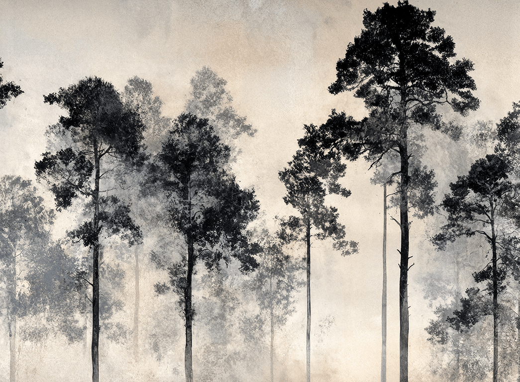 Voyage au cœur des pins – Papier peint panoramique forêt brumeuse - Illulart: Papier peint panoramique