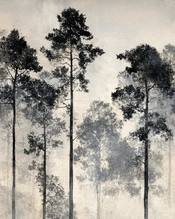 Voyage au cœur des pins – Papier peint panoramique forêt brumeuse - Illulart: Papier peint panoramique