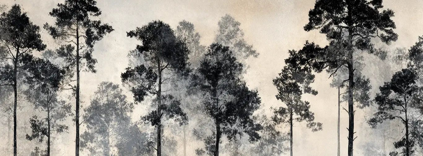 Voyage au cœur des pins – Papier peint panoramique forêt brumeuse - Illulart: Papier peint panoramique