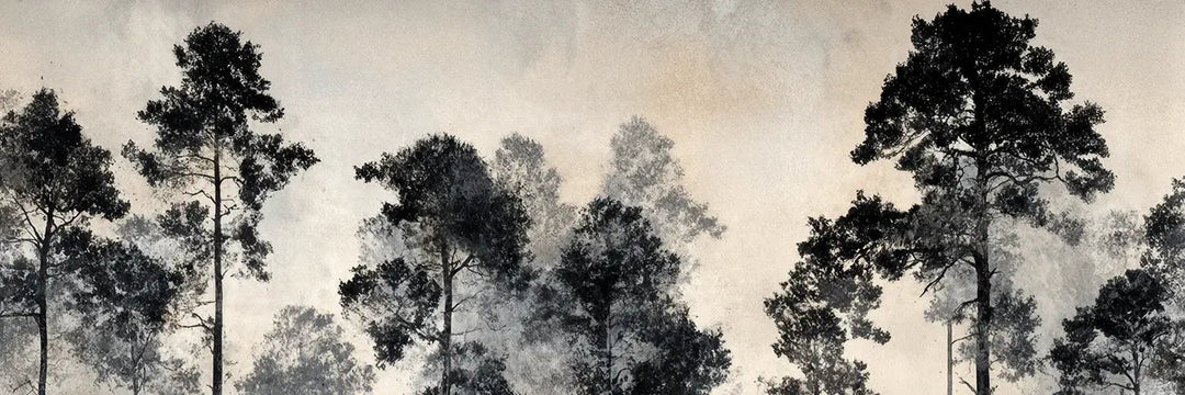 Voyage au cœur des pins – Papier peint panoramique forêt brumeuse - Illulart: Papier peint panoramique