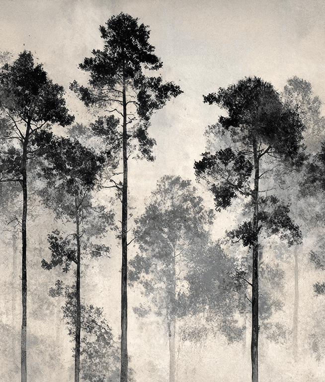 Voyage au cœur des pins – Papier peint panoramique forêt brumeuse - Illulart: Papier peint panoramique